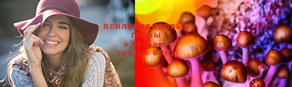 spice Аркадак