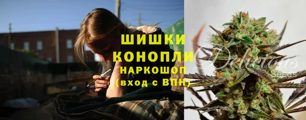 spice Аркадак